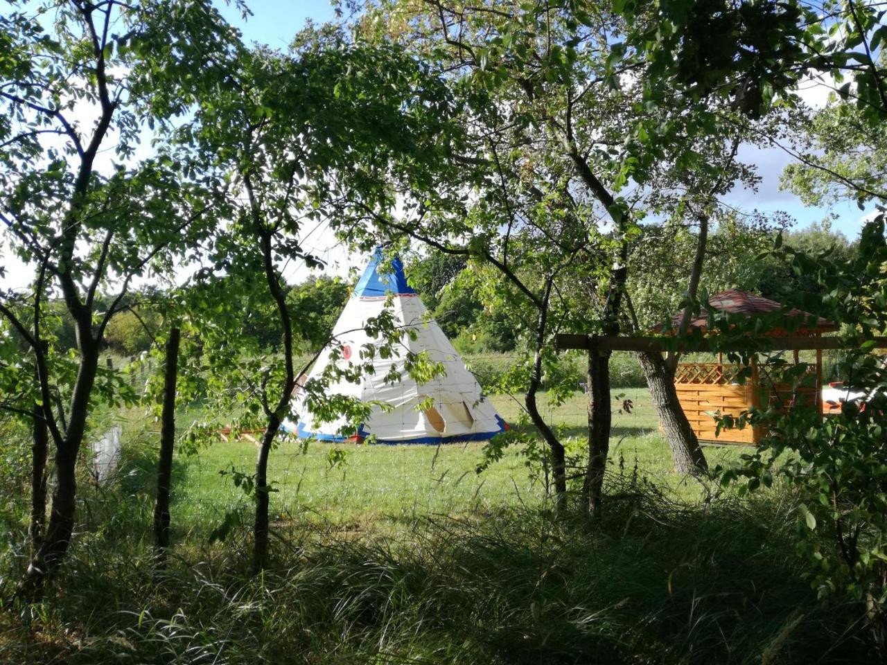فندق Glamping Podgrodzie نوفي فاربنو المظهر الخارجي الصورة